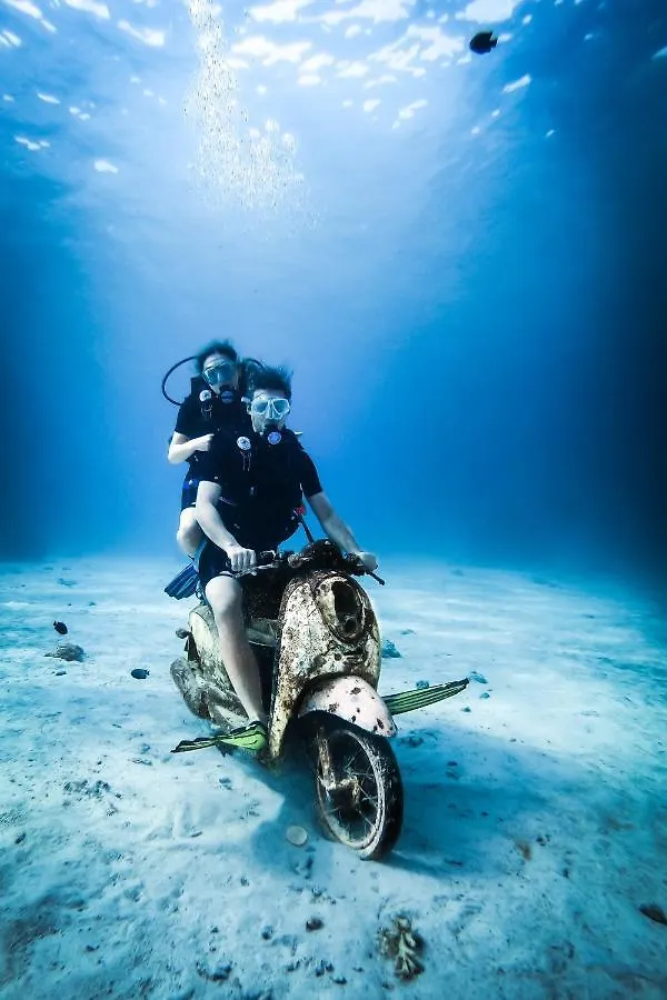 Гостевой дом Sunshine Guesthouse And Diving School Пхукет Таиланд